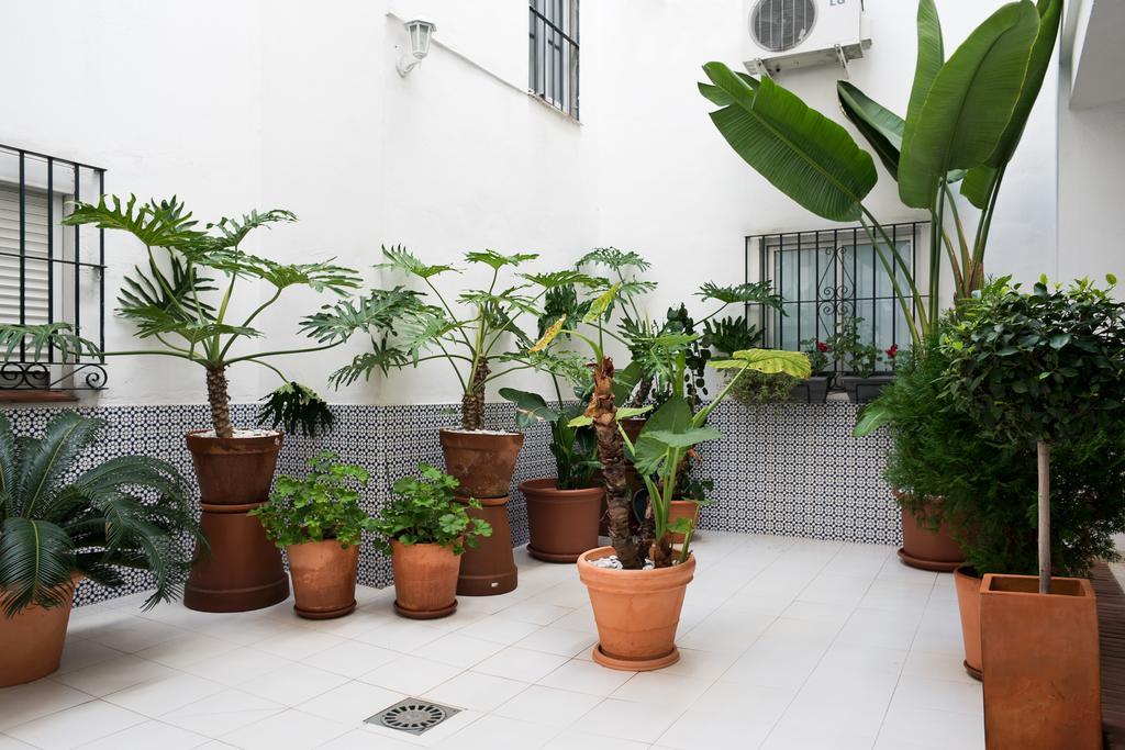 Urbanchicmalaga 3 Bedroom Spacious Quiet Historic Malaga Apt 外观 照片